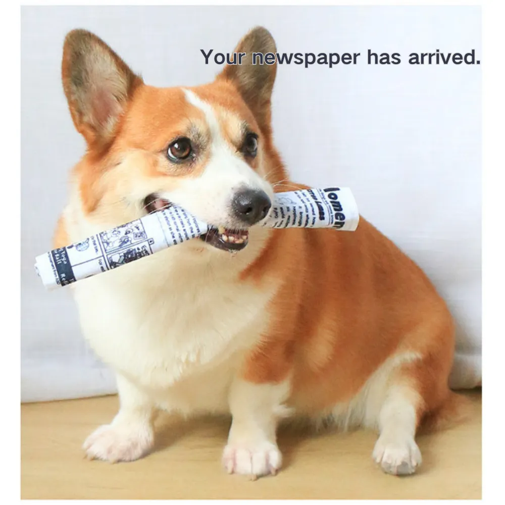 Fun Crinkle Dog Toys