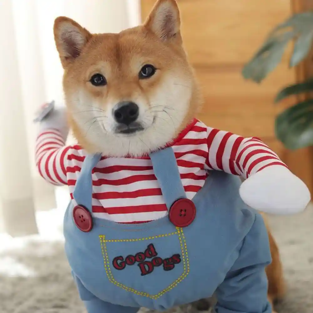 Dog Party Costume Supplier
