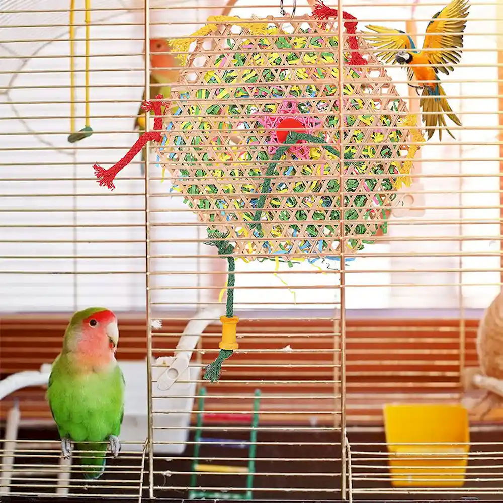 Bird Parrot Toys