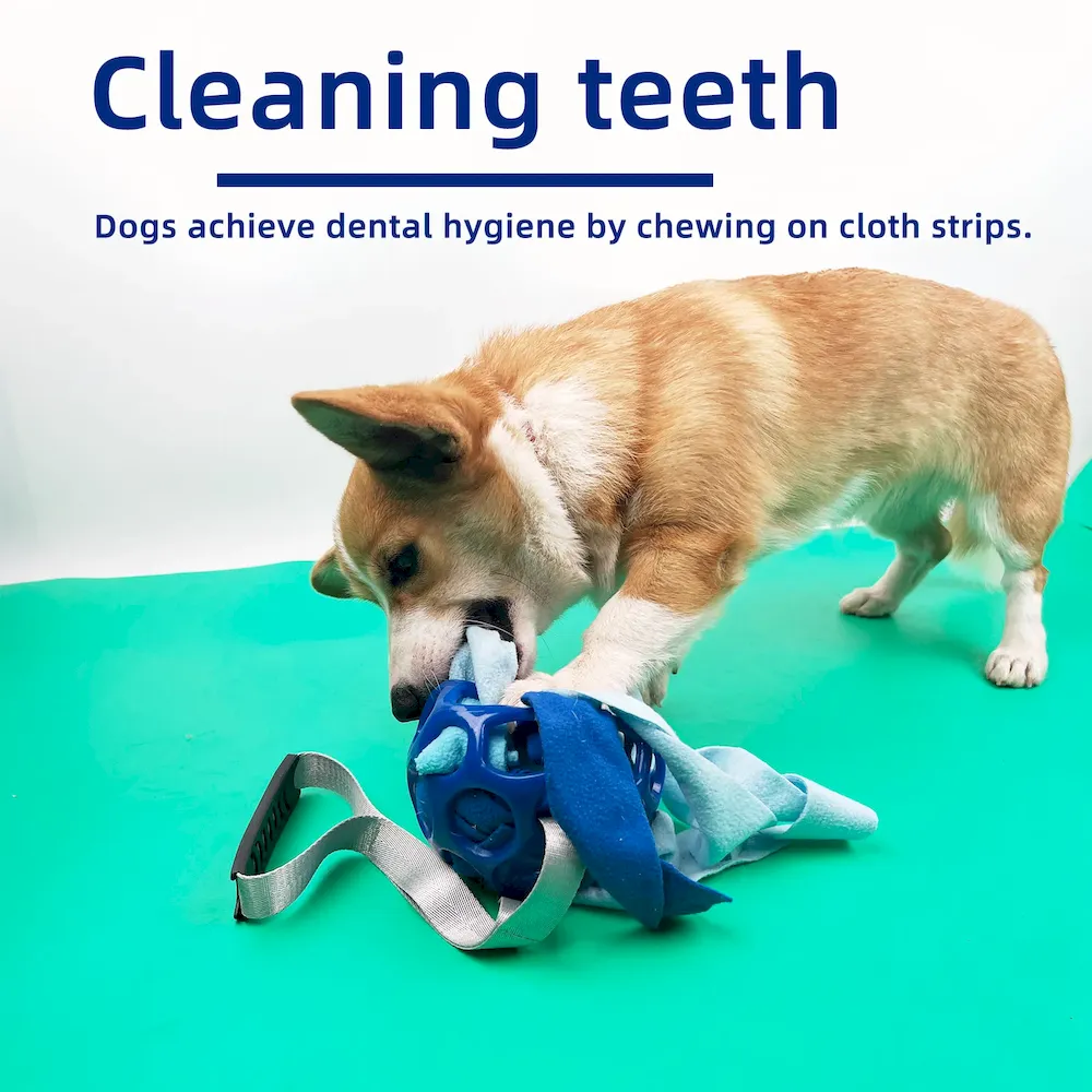 Professional Pet Toy for Dog
