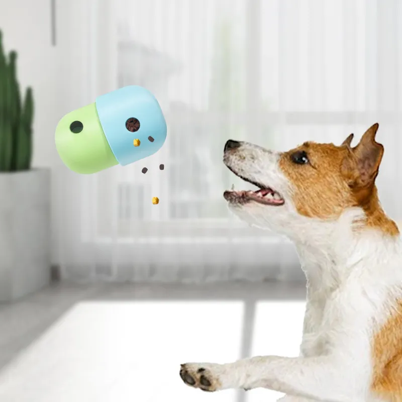 puzzle dog toy