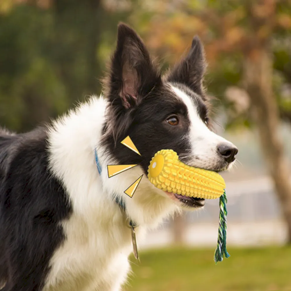 squeaky dog toys bulk