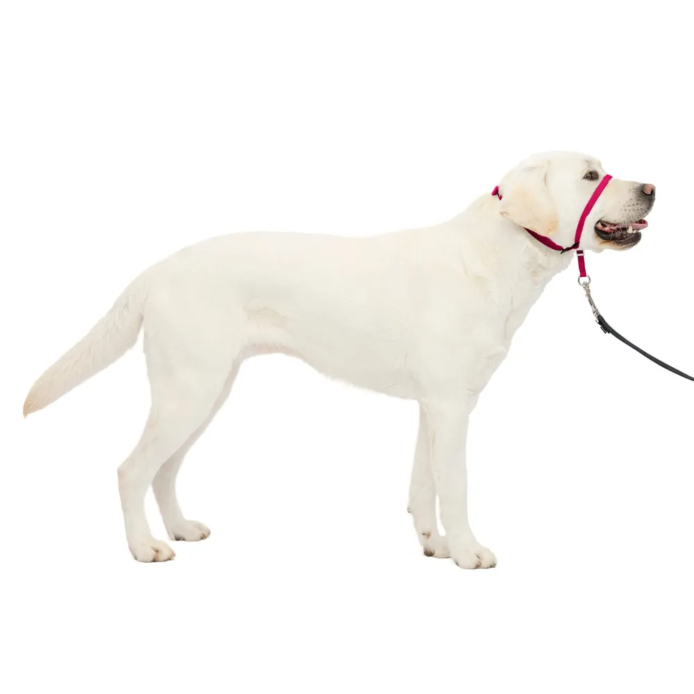 Outdoor Adjustable Strape Dog Muzzle