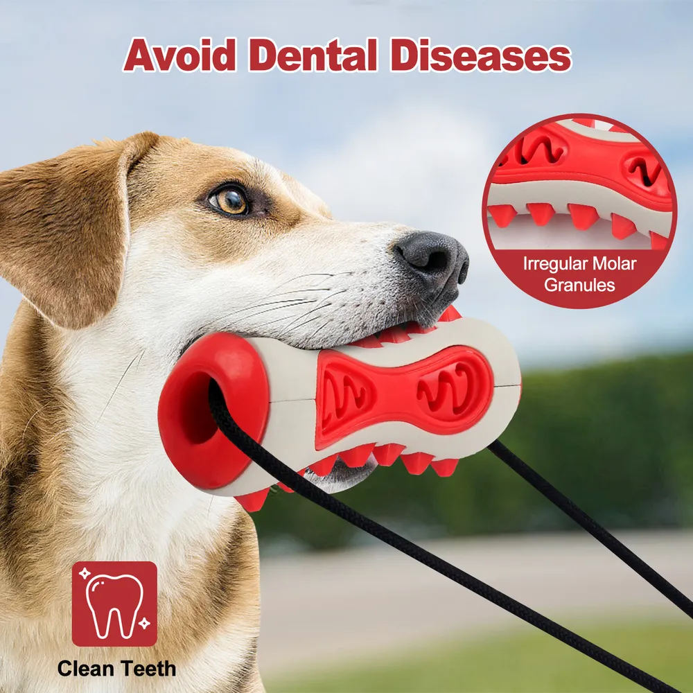 suction cup dog toy (1) Safe for pets, the food-grade TPR material in this toy ensures that it’s gentle on teeth and gums while promoting healthy oral hygiene.