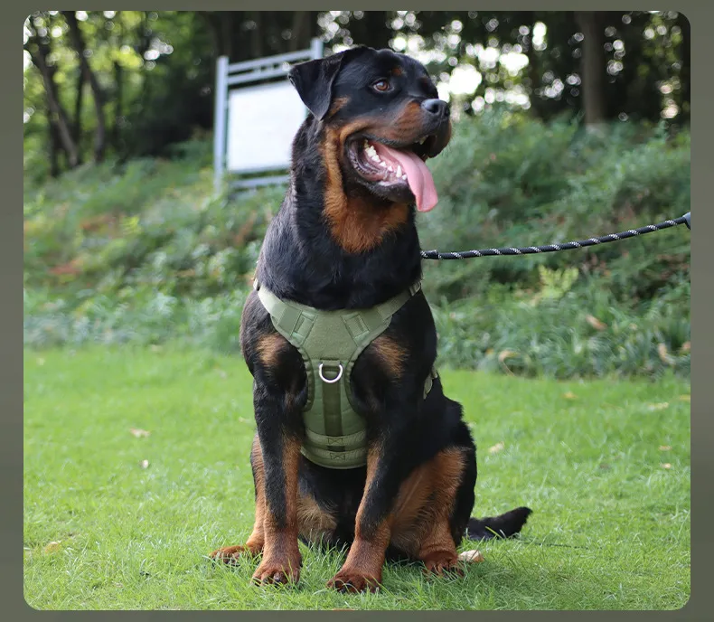 High-Quality Oxford Fabric Harness