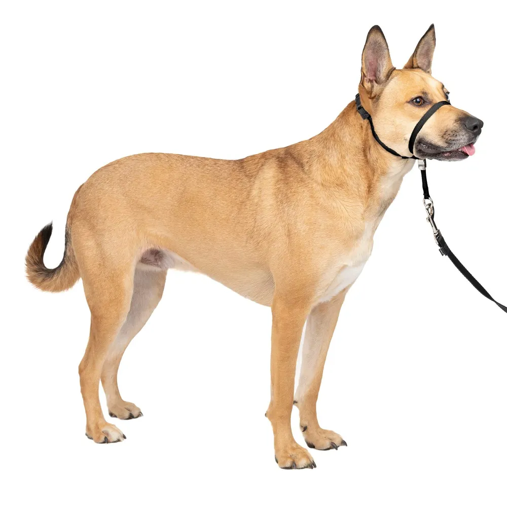 Outdoor Adjustable Strape Dog Muzzle