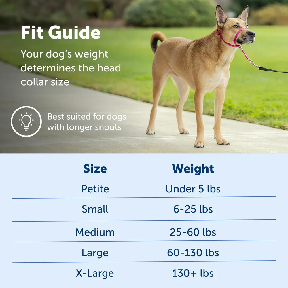 Outdoor Adjustable Strape Dog Muzzle
