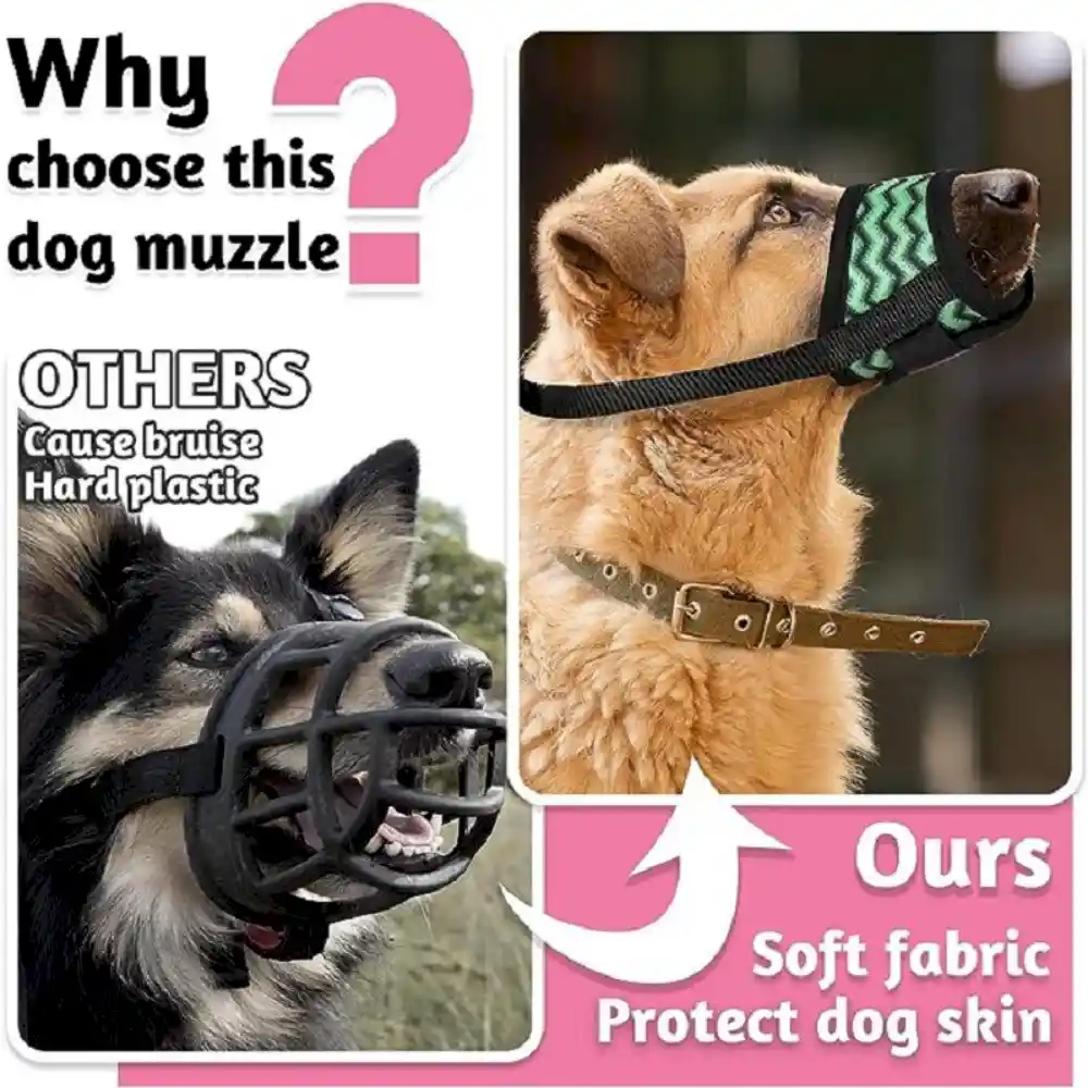 Dog Muzzle Supplier