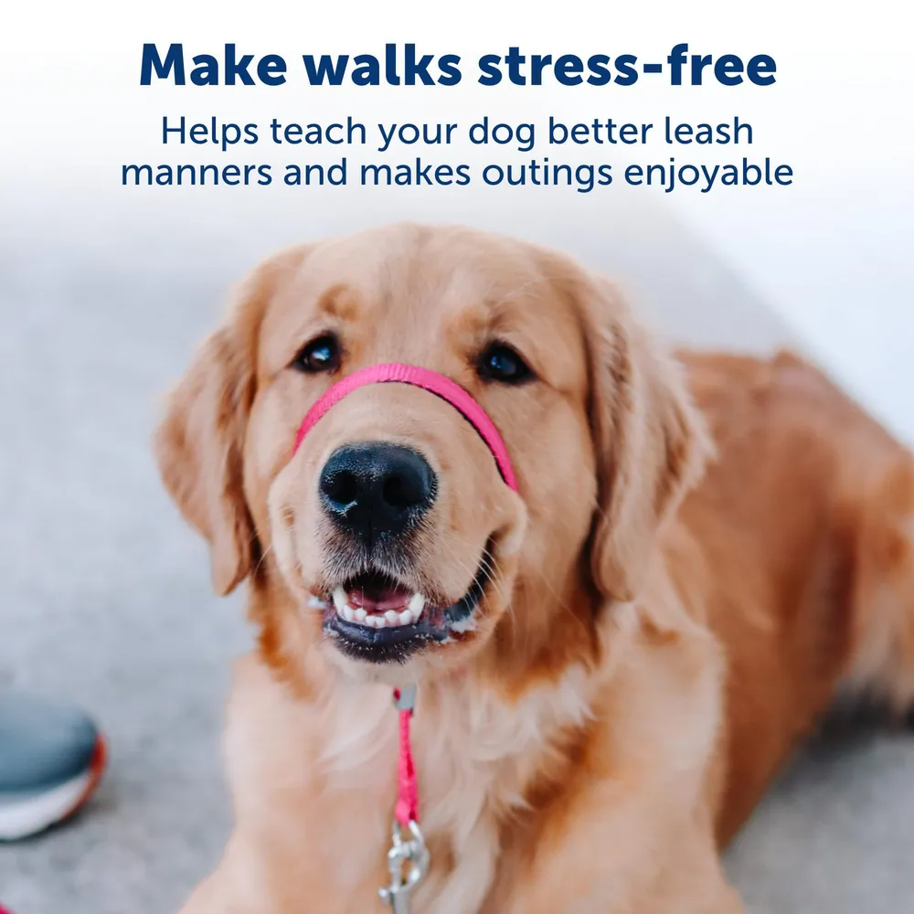 Outdoor Adjustable Strape Dog Muzzle