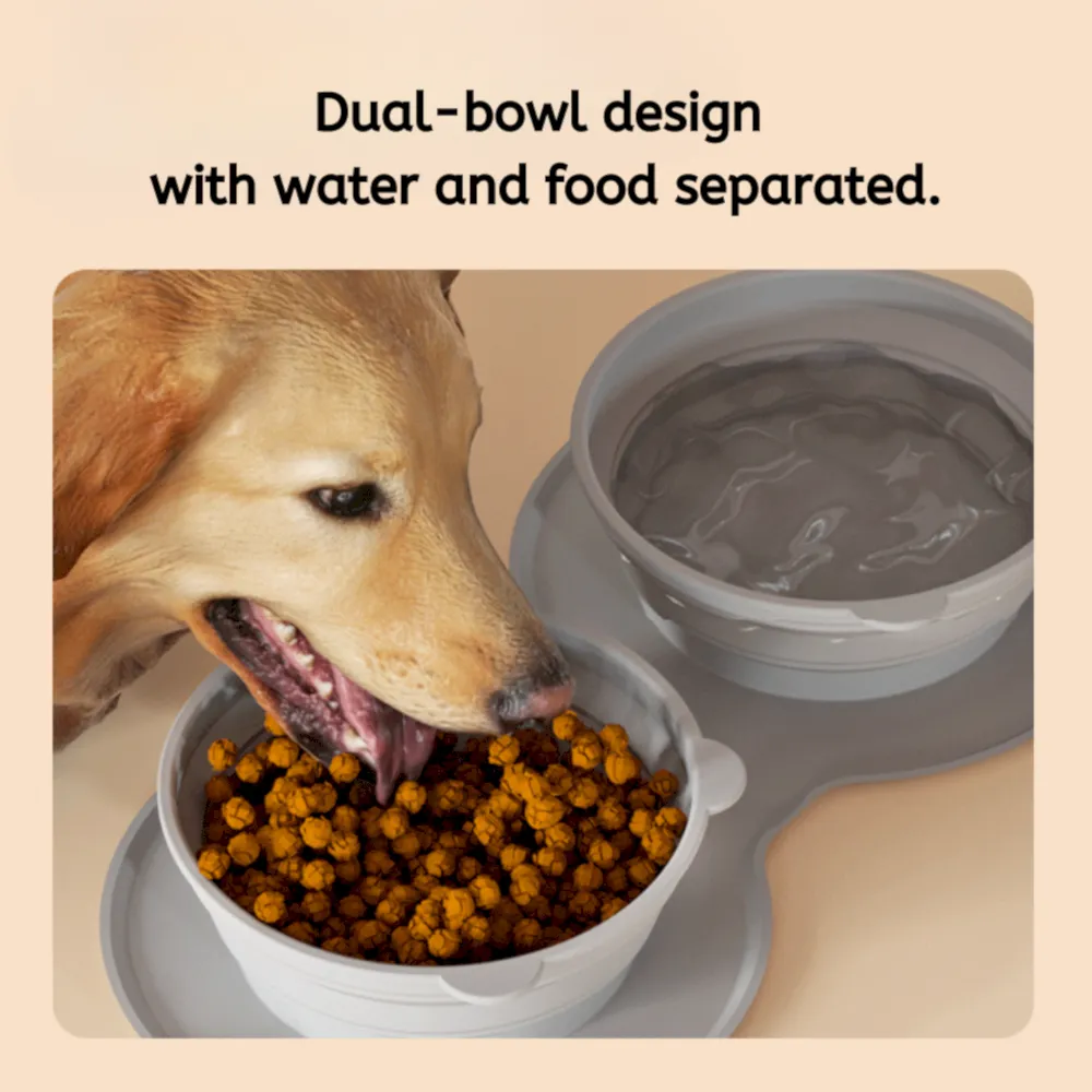 double pet food bowl