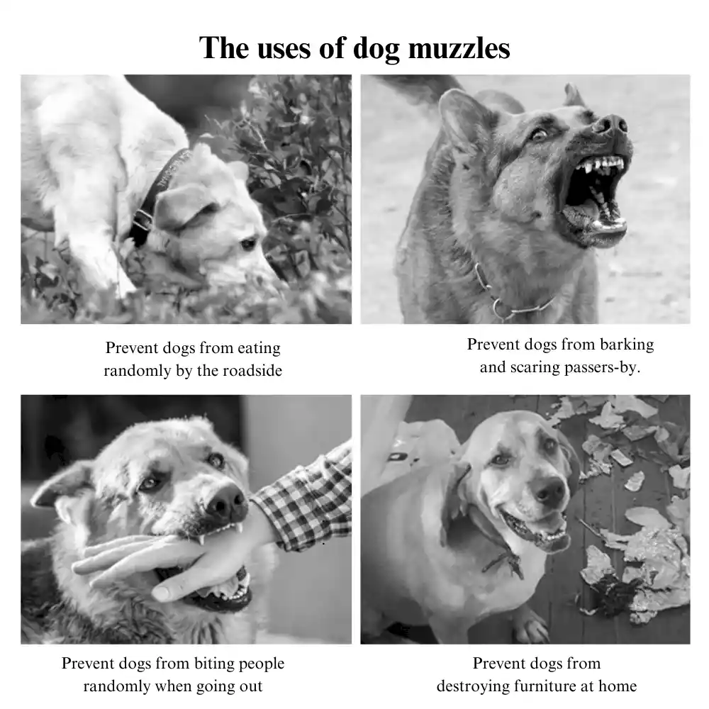 Anti Biting Barking Chewing Muzzle Supplier