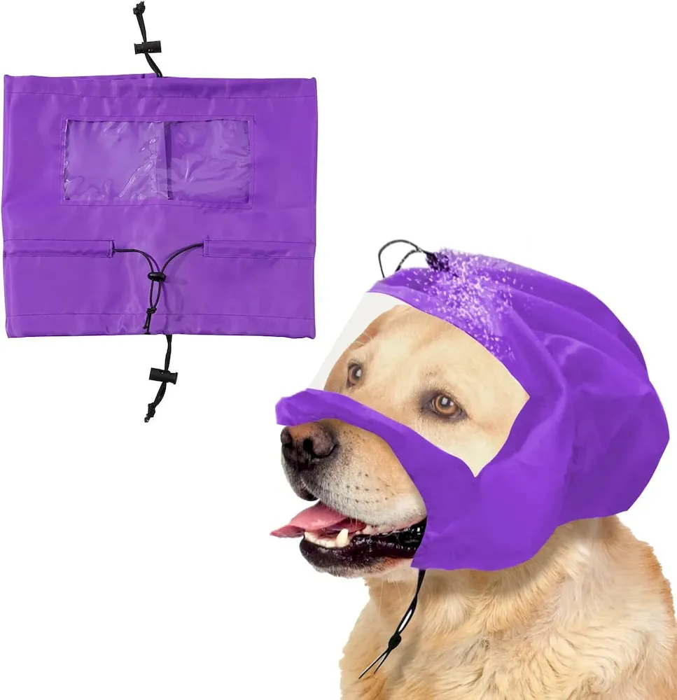 Water-resistant Dog Cap Purple Color
