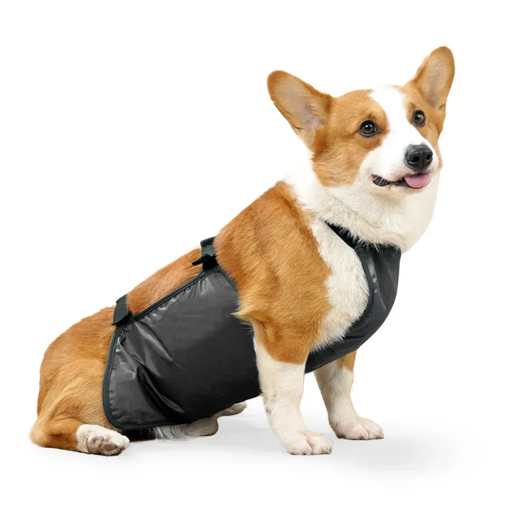 Perfect for both indoor and outdoor use, offering hygiene and protection in any environment.