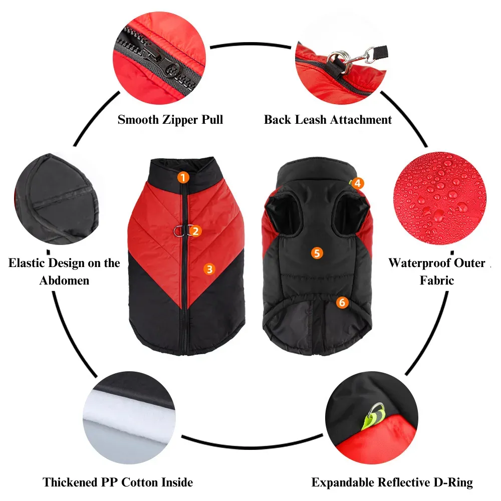 Adjustable elastic belly design for a comfortable, customizable fit.