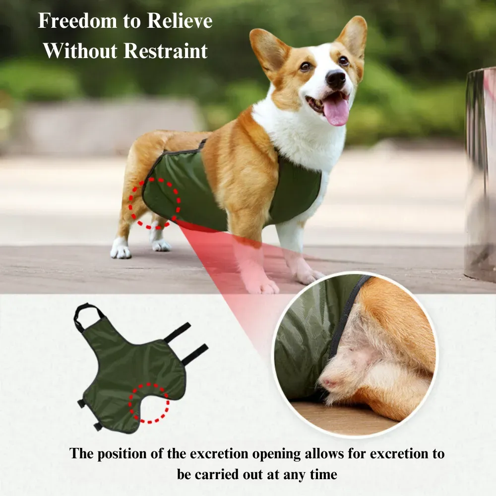 Waterproof outer layer shields pets from moisture, dirt, and external contaminants.