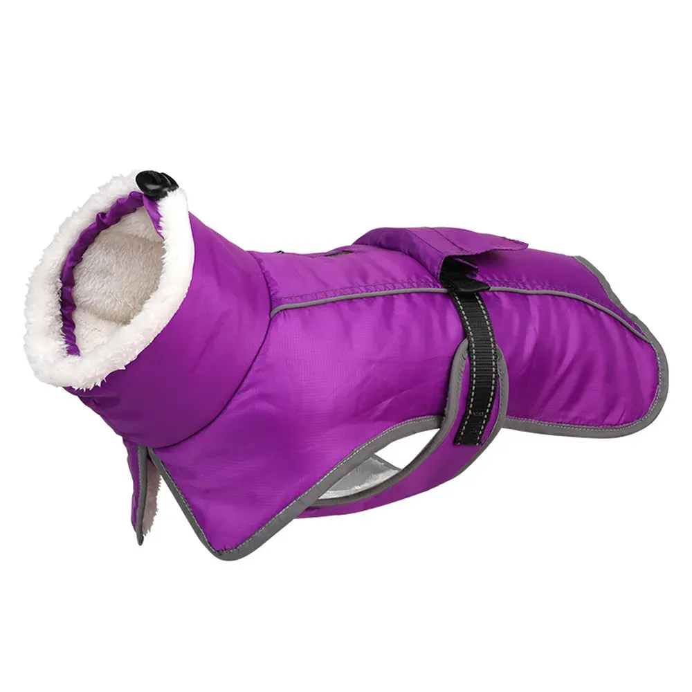 Perfect for large dog breeds like Golden Retrievers, Bulldogs, and Corgis.