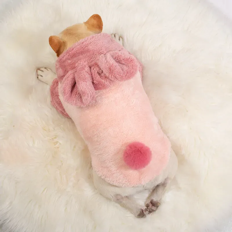 warm dogs' clothes