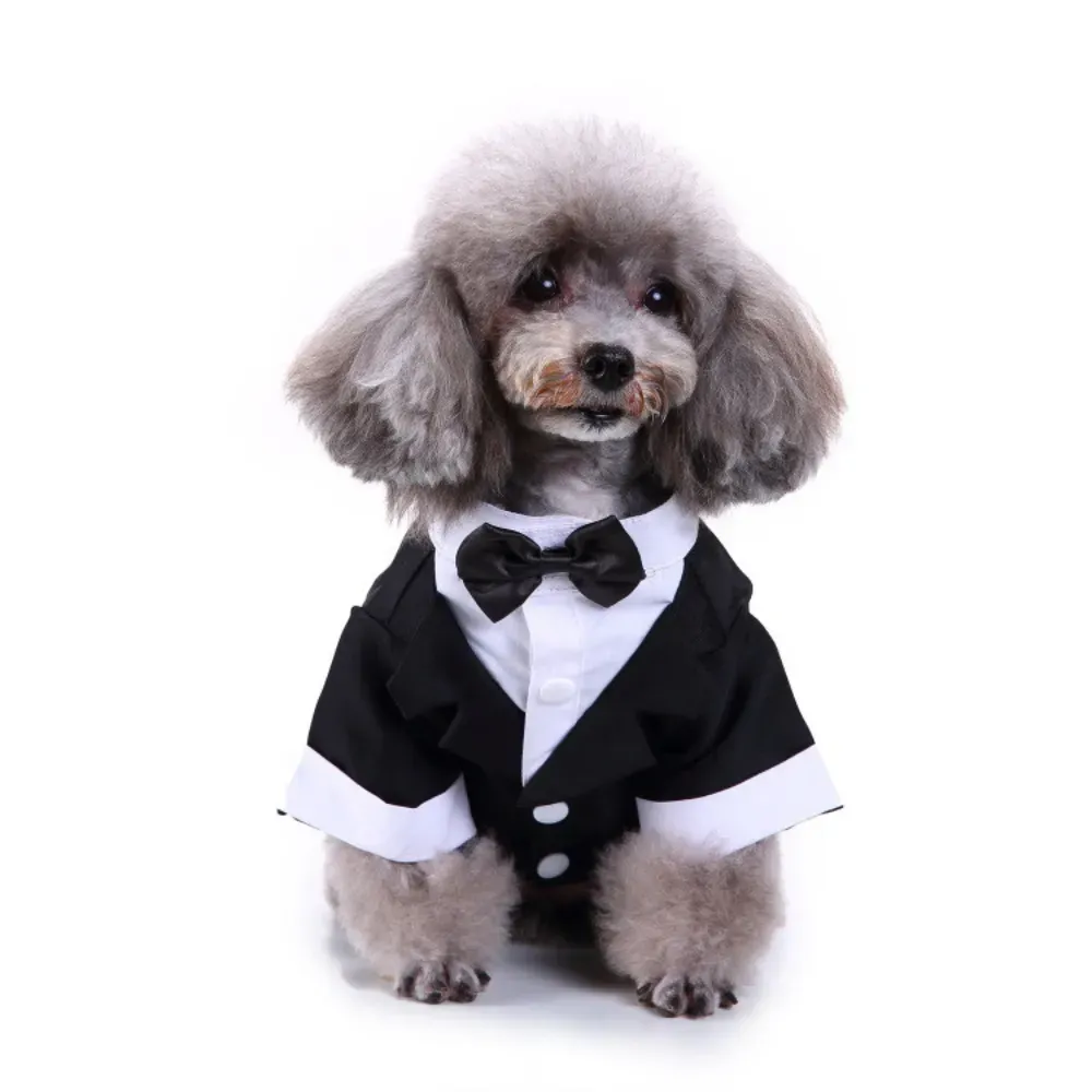 Tuxedo with Bow for Dogs Wholesale