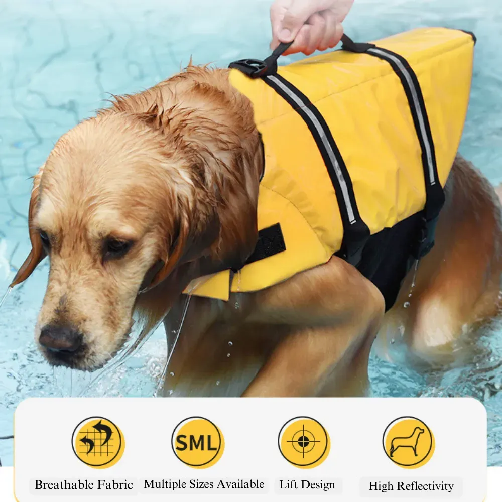 Hot Dog Life jacket