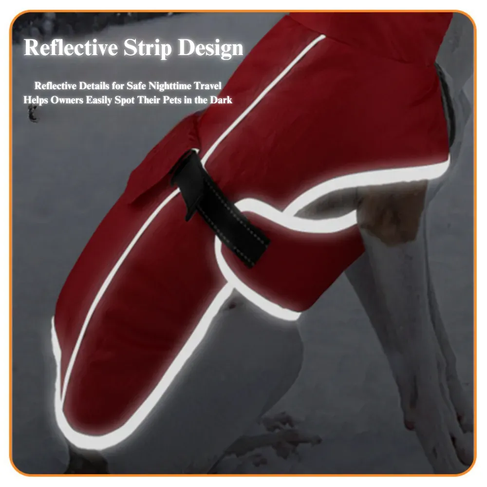 Reflective safety strips ensure visibility during night walks or low-light conditions.
