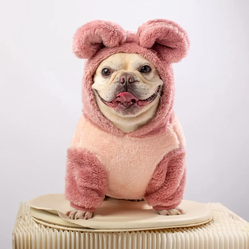 warm dog clothes