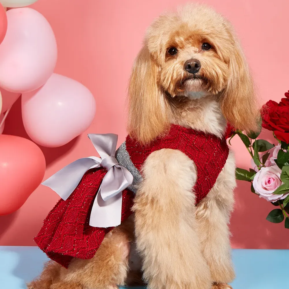 New Pet Prom Dress Wedding Gown Princess Dress with Bow