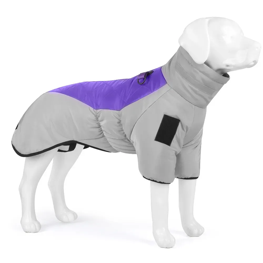 Dog Winter Coats Dog Winter Coats