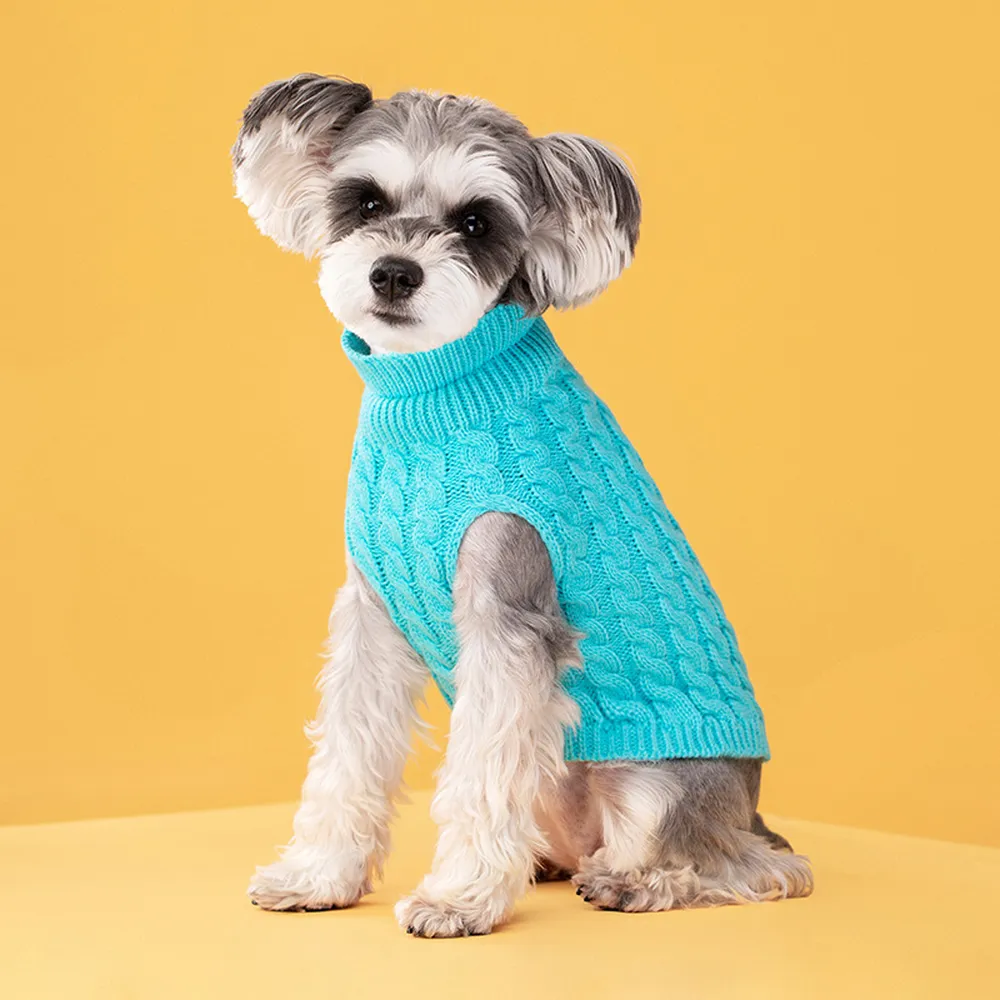 Vibrant candy colors make pets stand out in winter.