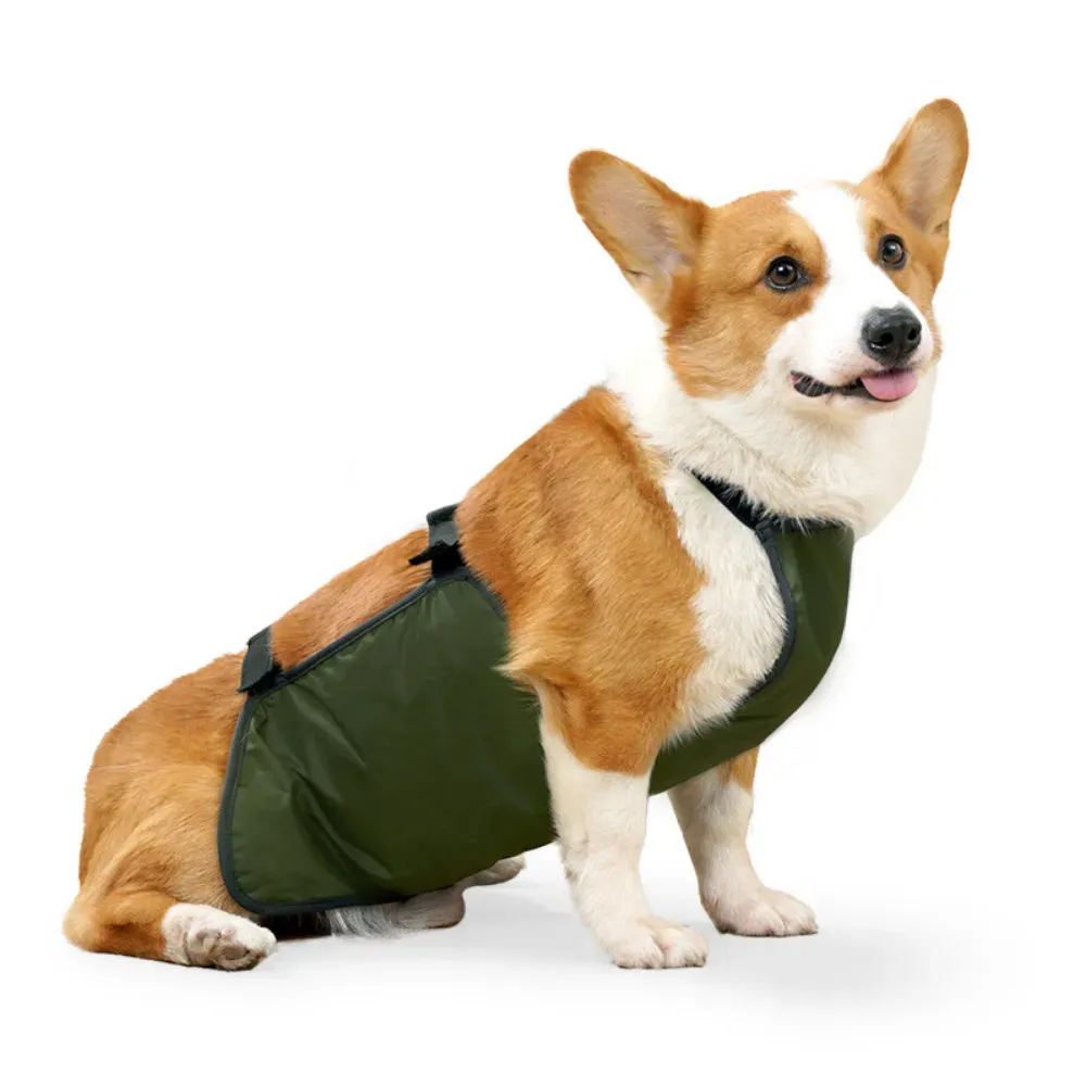 Waterproof belly band for dogs – perfect for keeping pets clean and dry during outdoor activities.