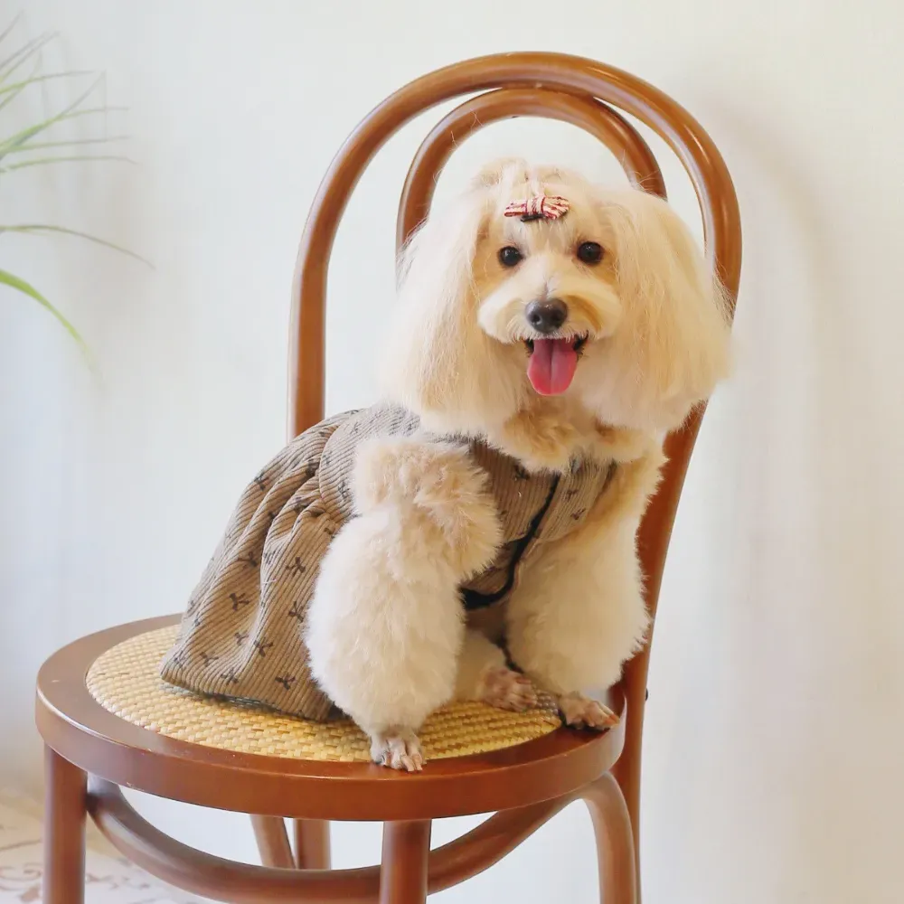 Fall Dog Corduroy Lined Fleece Layered Button Down Dress