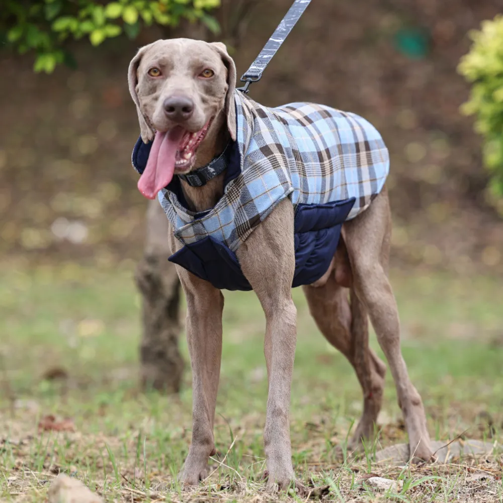 Reversible pet jacket offers two stylish looks in one coat.