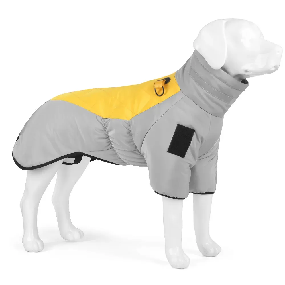 Yellow Dog Winter Coat Yellow Dog Winter Coat