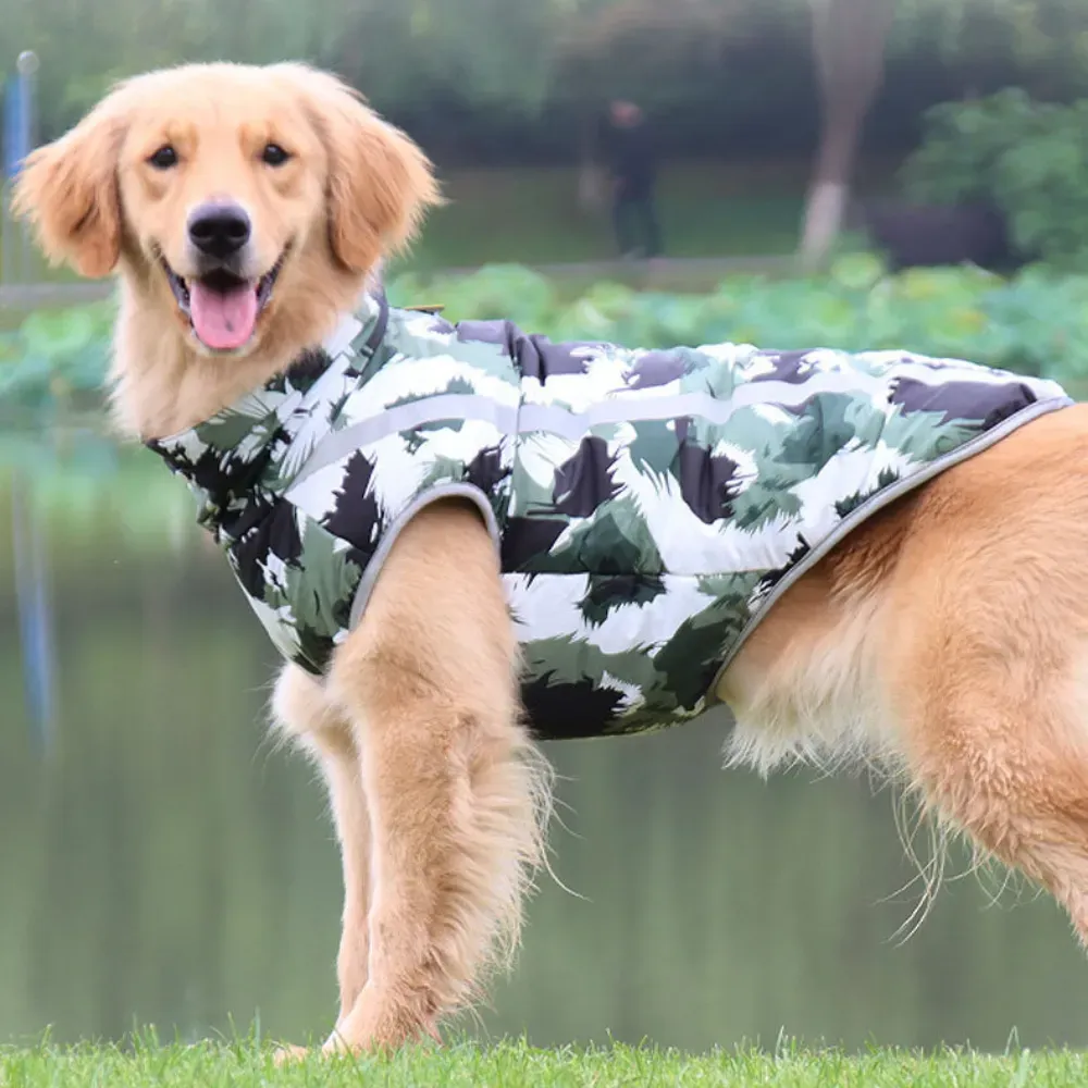 Smooth, durable zipper for quick and secure dressing with no snagging of fur.