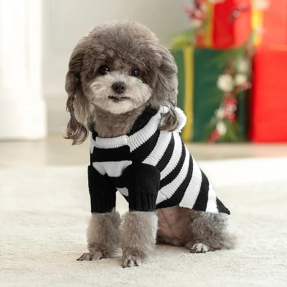 Available in multiple sizes to fit a variety of pets comfortably.