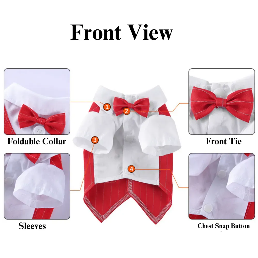 Dog Double Bow Ties festival
