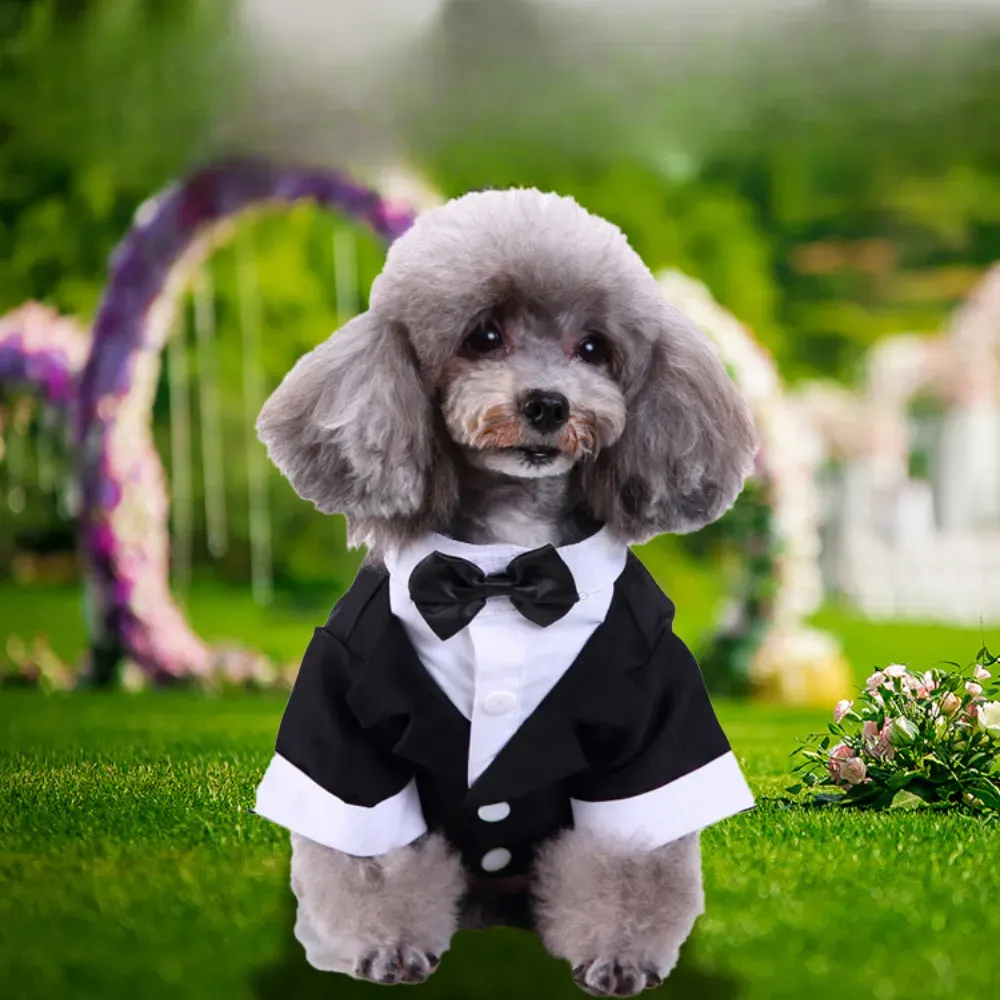Wedding Tuxedo for Dogs Wholesale