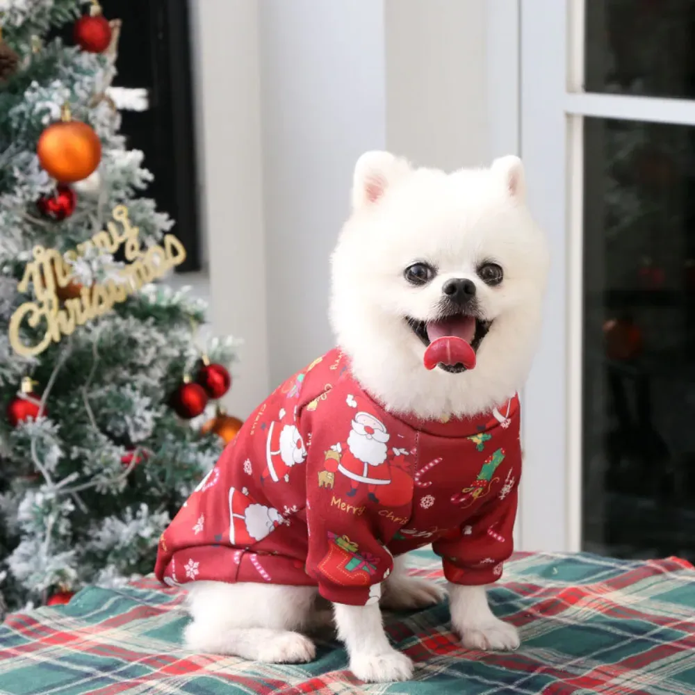 Ideal for the holiday season, this Christmas sweatshirt allows pets to enjoy the festivities in style. Whether for photoshoots, holiday events, or casual wear, this sweatshirt adds a festive touch to any occasion.