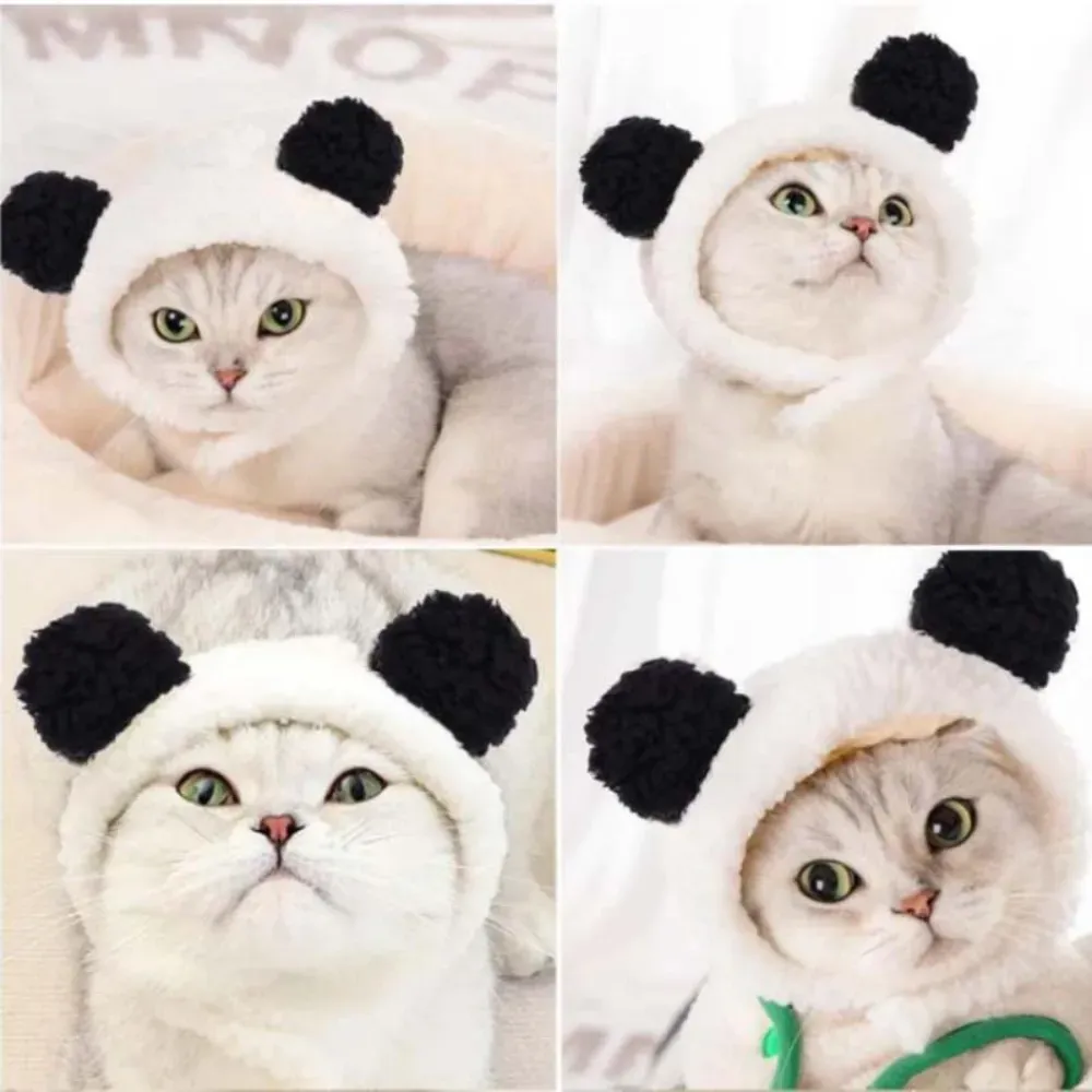 Bulk Dog Cat Hat
