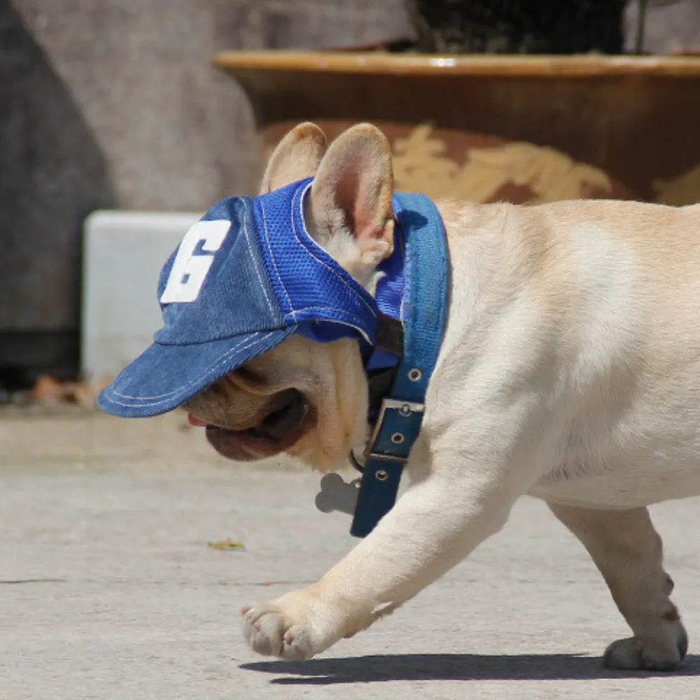 Dog Sun Hat for Spring and Autumn, Breathable and Sunshade Design