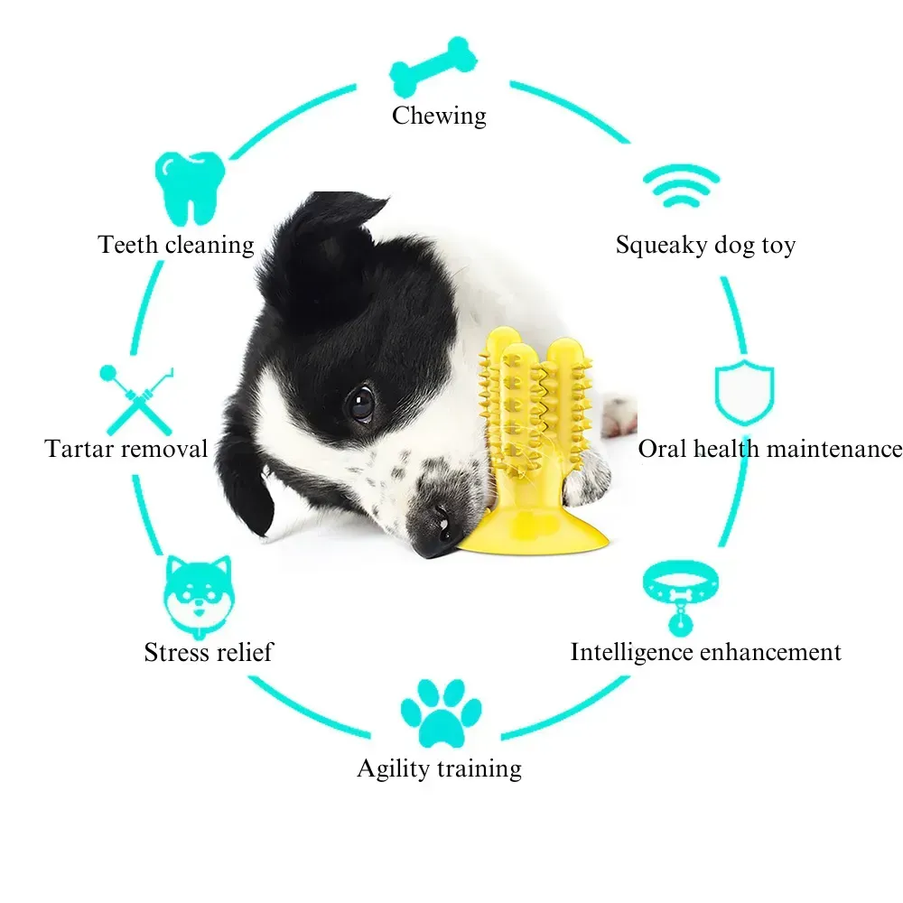 dog chew teeth cleaning toy