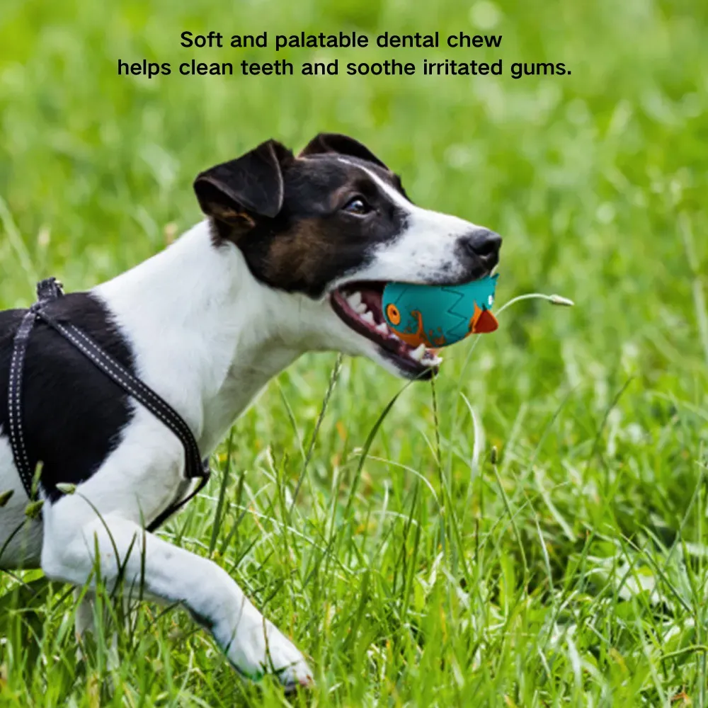 Egg Shaped Rubber Squeaky Dog Chew Toy