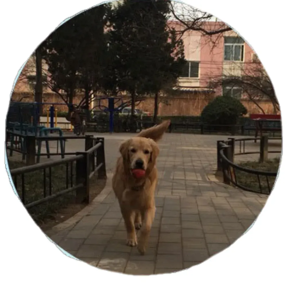 Great Dog Ball Toy Great Dog Ball Toy