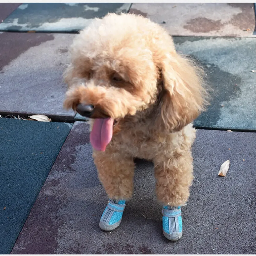 Lightweight waterproof dog shoes