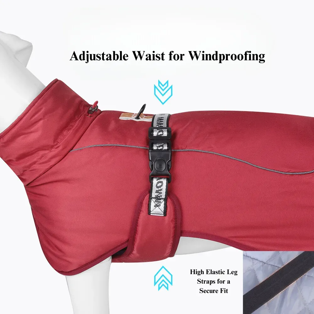 outdoor dog jacket wholesale