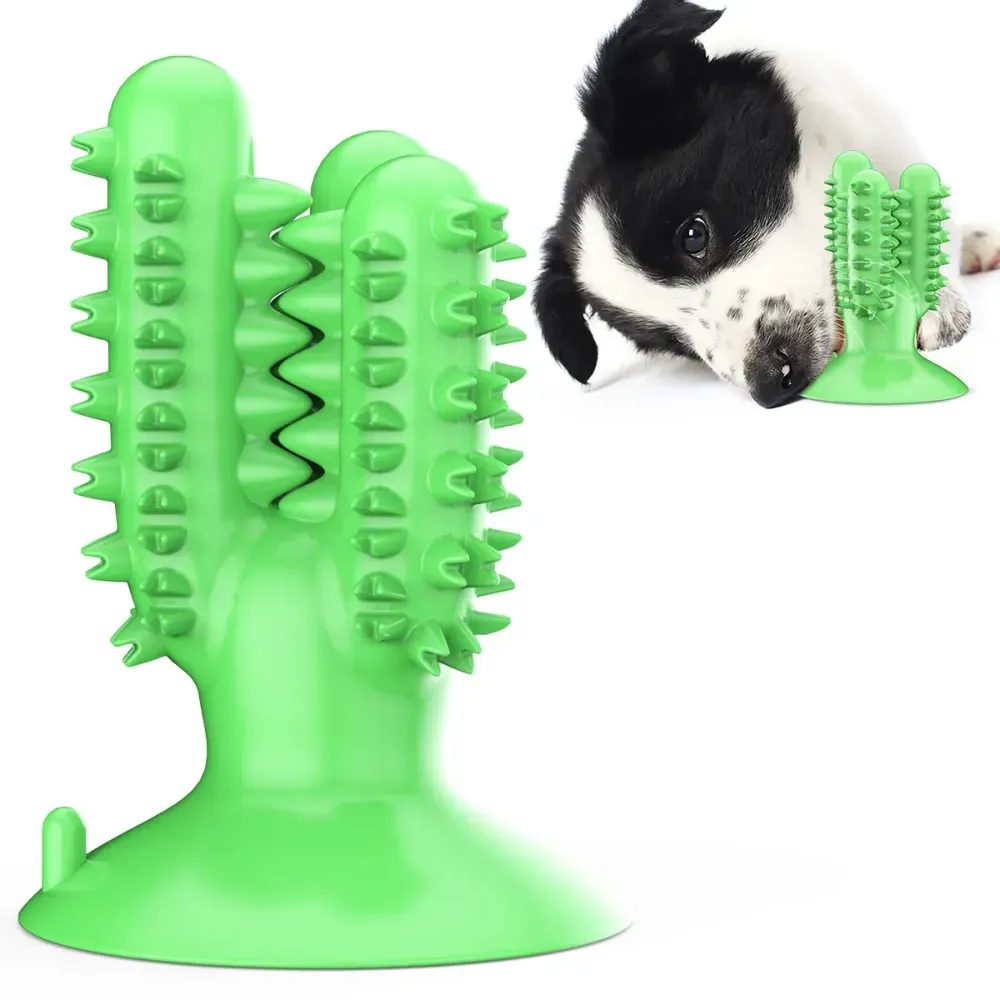 dog chew toothbrush toys