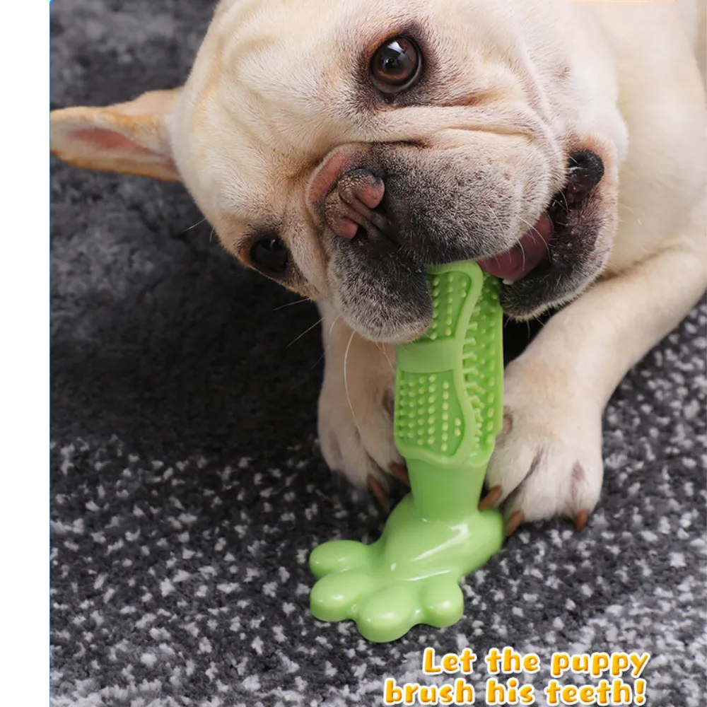 dog toothbrush toys
