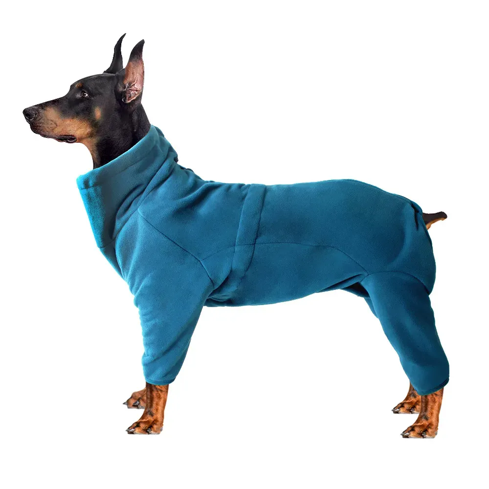 small dog winter coat for pet