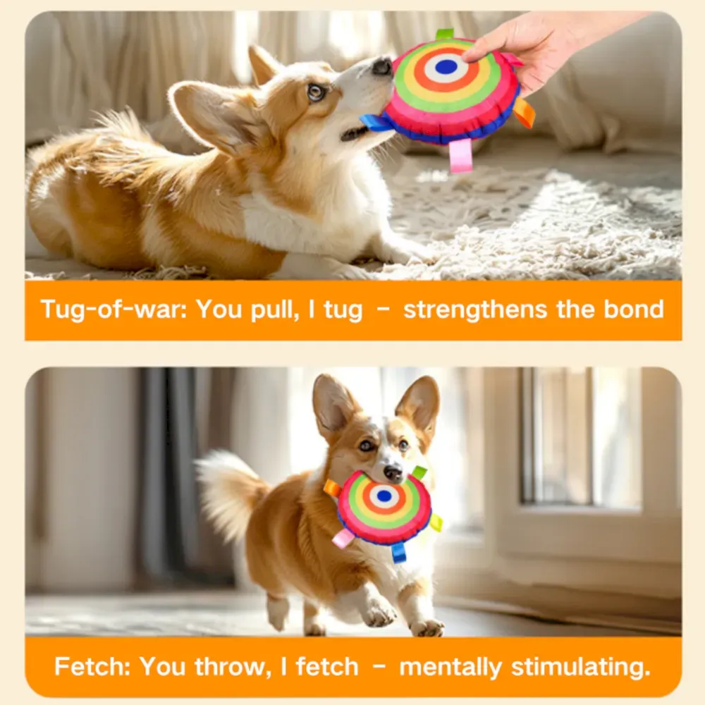 dog frisbee toy bulk dog frisbee toy bulk