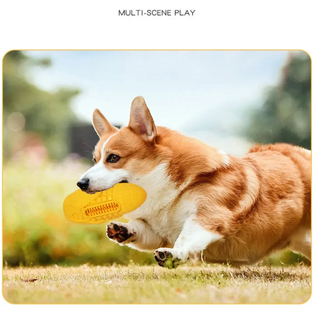 Cat Rubber Dog Toys