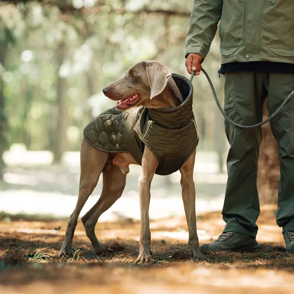 high quality large dog winter coat